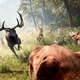 Illustration for article titled Turns Out Ubisoft Used Far Cry 4's Map To Make Far Cry Primal